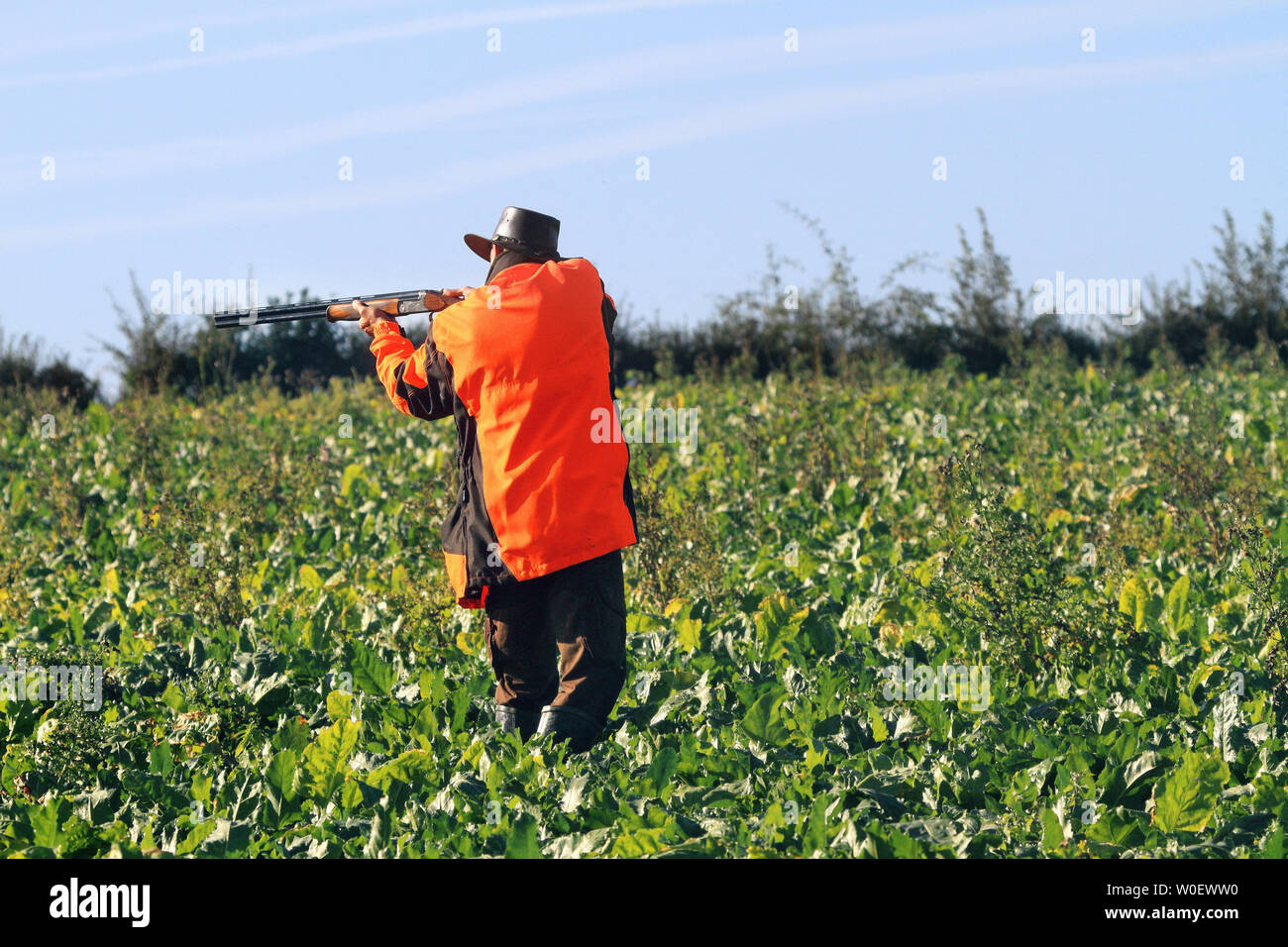 Frankreich, Jagd Stockfoto