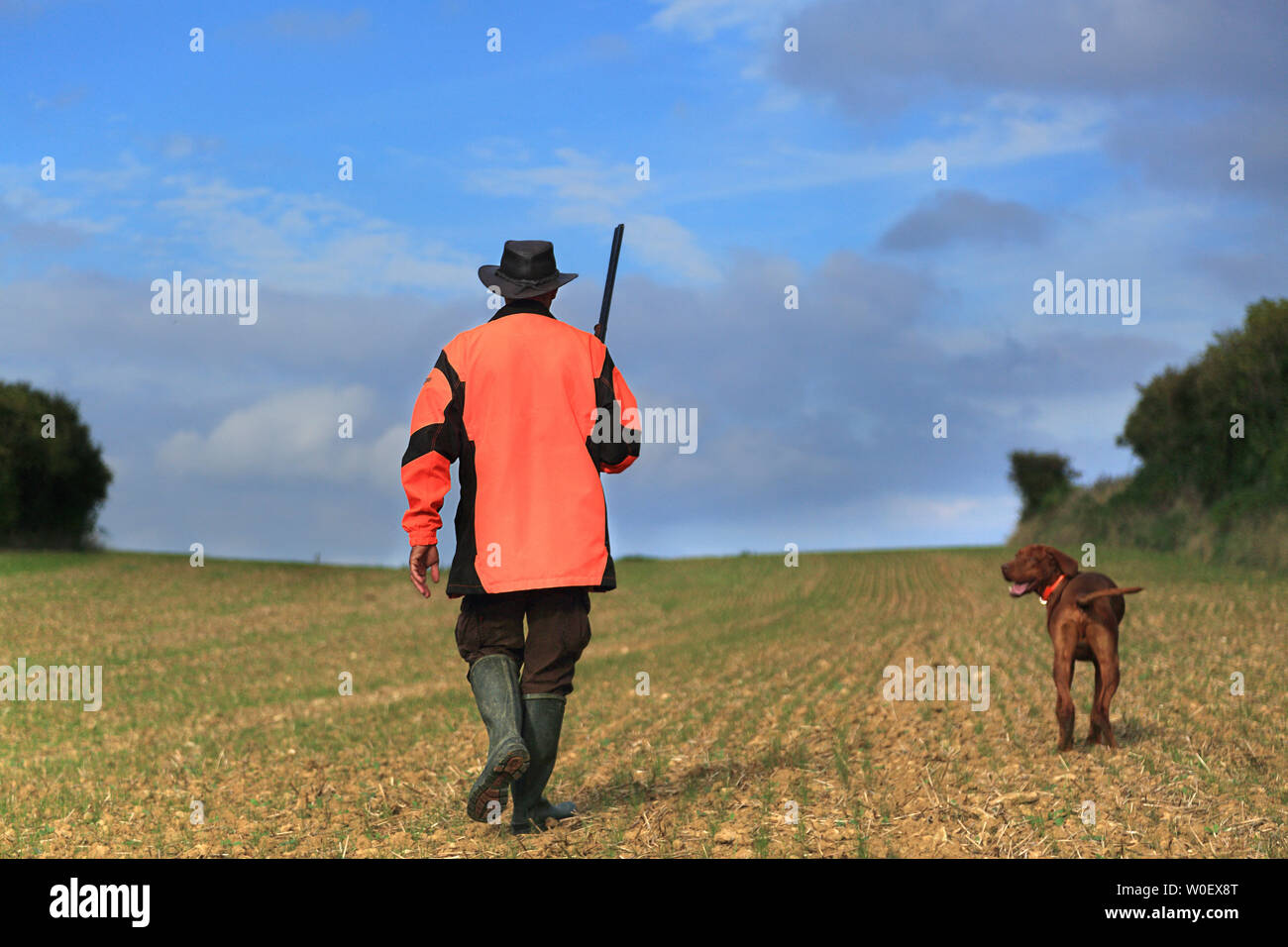 Frankreich, Jagd. Jäger mit seinem Hund Stockfoto