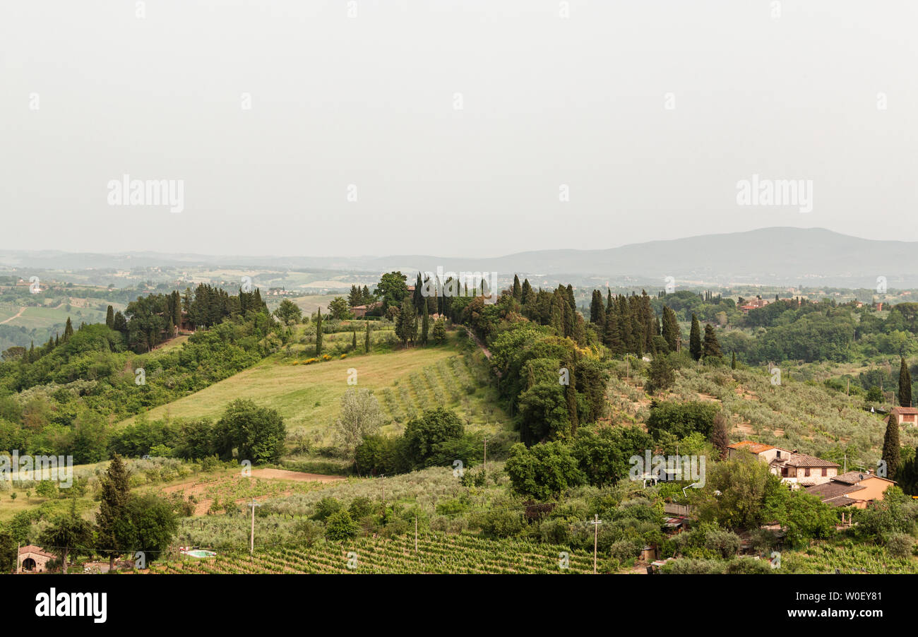 Die Felder und Weinberge in der Toskana, Italien. Stockfoto
