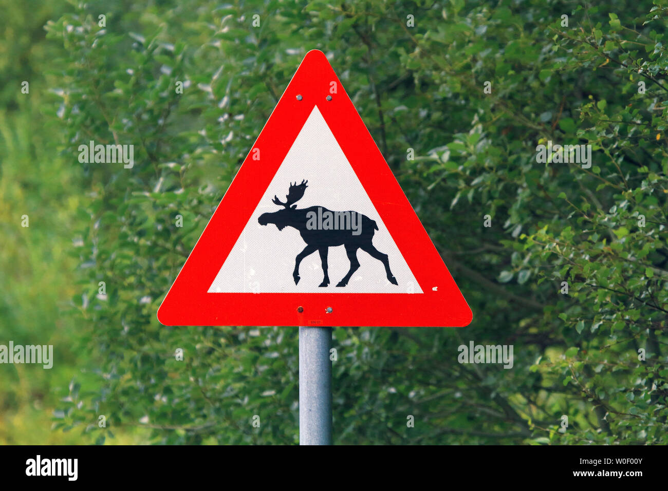 Norwegen, Lofoten, Beschilderung, Orignal Stockfoto