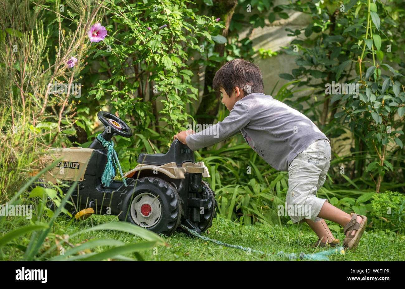 4-jähriger Junge im Garten, sein Spielzeug Traktor drücken Stockfoto