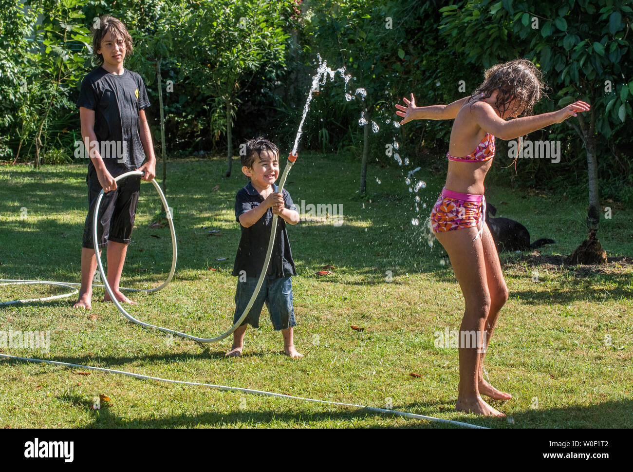 Zwei Jungen, der 4 Jahre alt ist und 12 Jahre alt und ein 10-jähriges Mädchen spielen mit einem Schlauch im Garten Stockfoto