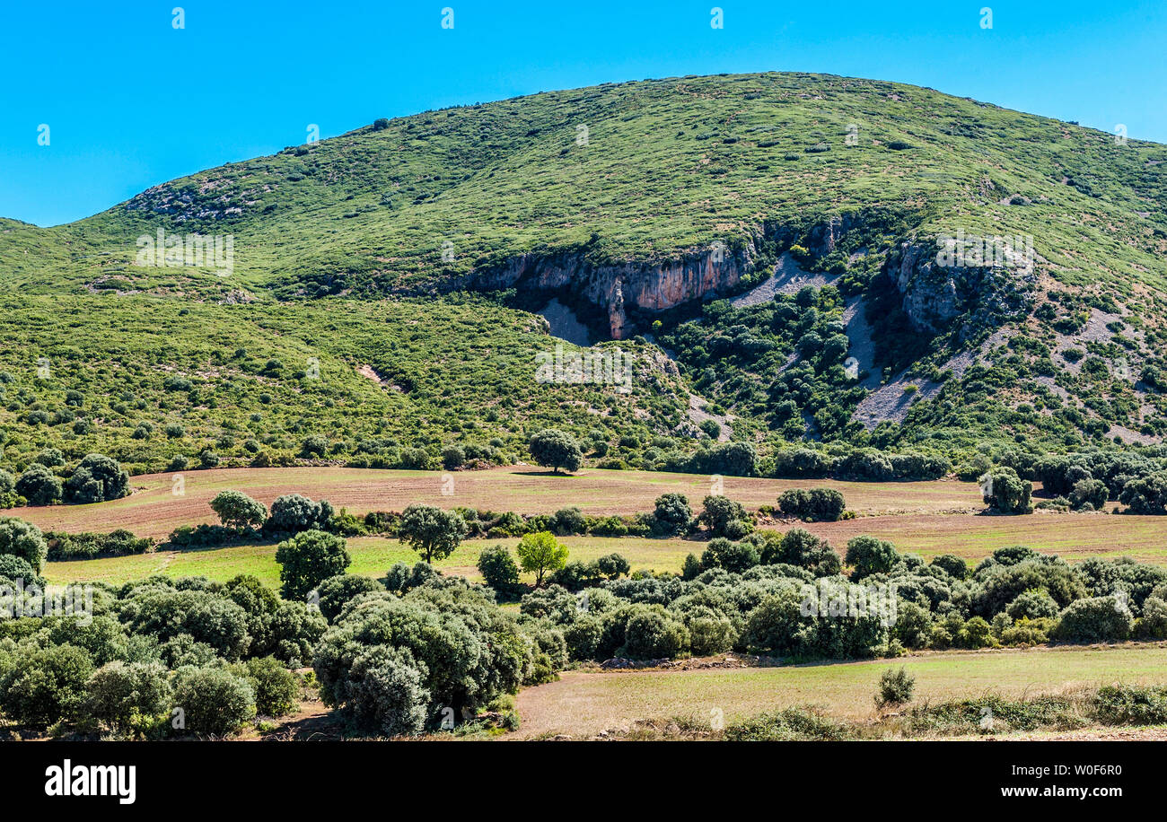 Spanien, autonome Gemeinschaft Aragaon, Provinz Huesca, landwirtschaftliche Landschaft bei San Julian de Benzo Stockfoto