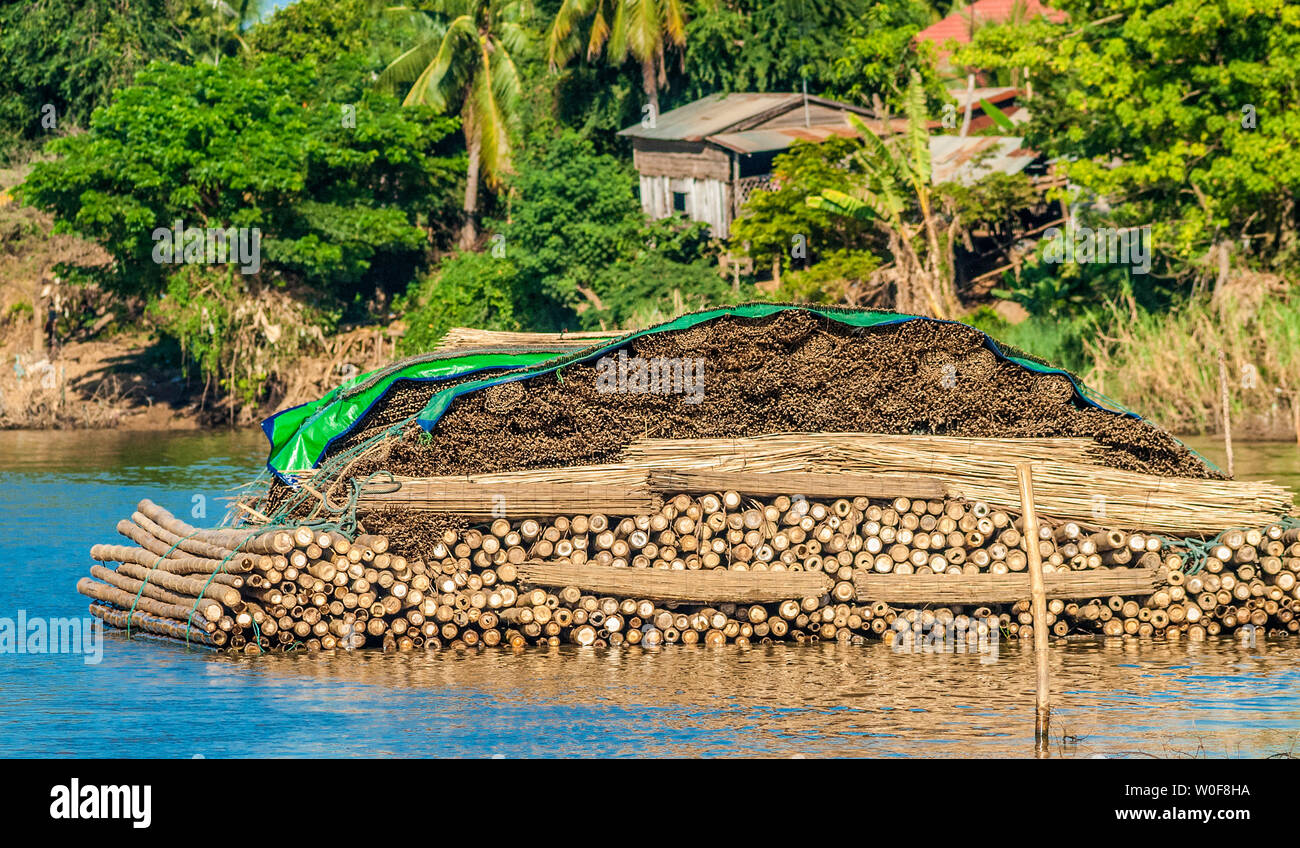 Asien, Cambogia, Battambang, driftwoof Sangkaé ändern auf dem Fluss Stockfoto
