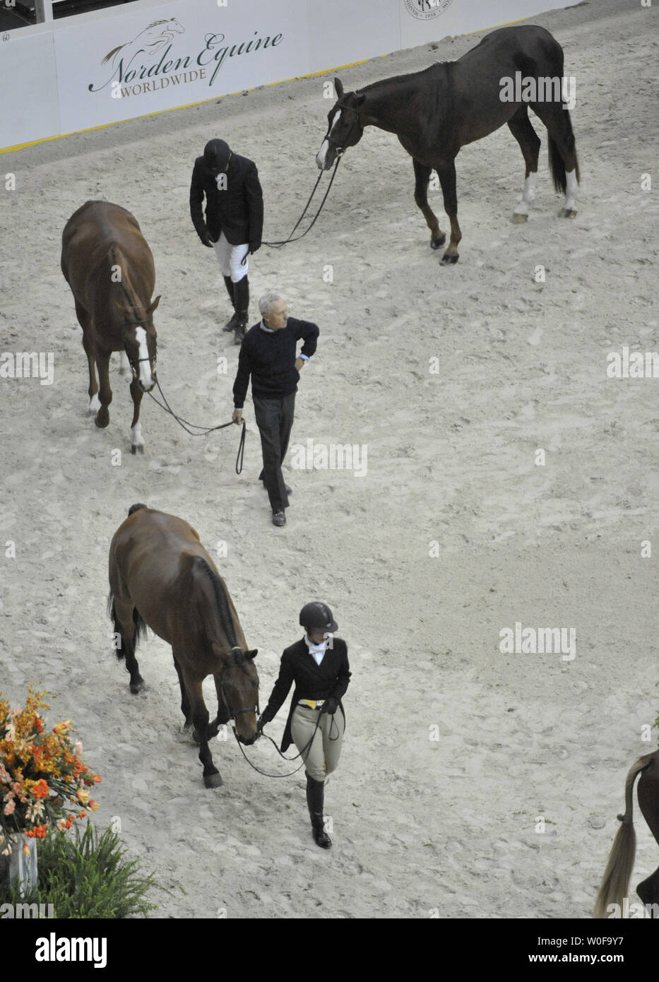 Pferde sind im International Horse Show im Verizon Center in Washington am 21. Oktober 2009 getippt. UPI/Kevin Dietsch Stockfoto