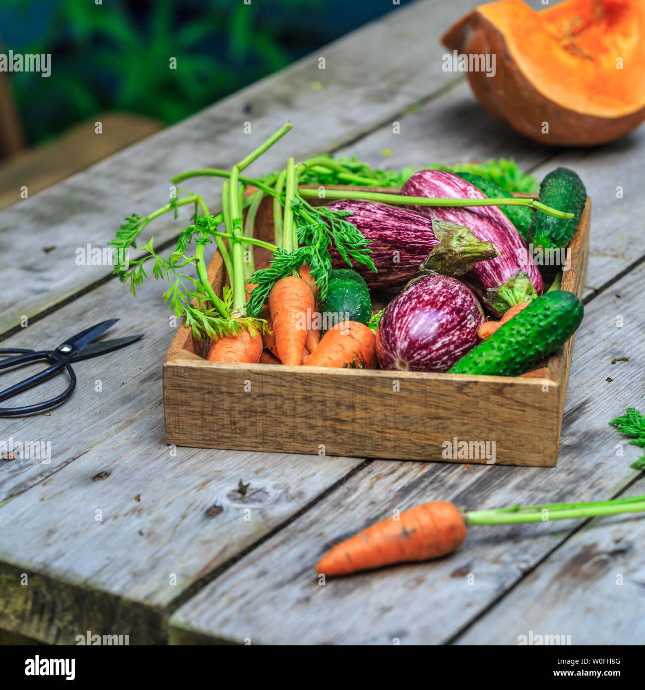 Frisches Bio-Gemüse in Holz Korb auf Holzboden mit kopieren. Konzept Gemüse frisch vom Bauernhof Stockfoto