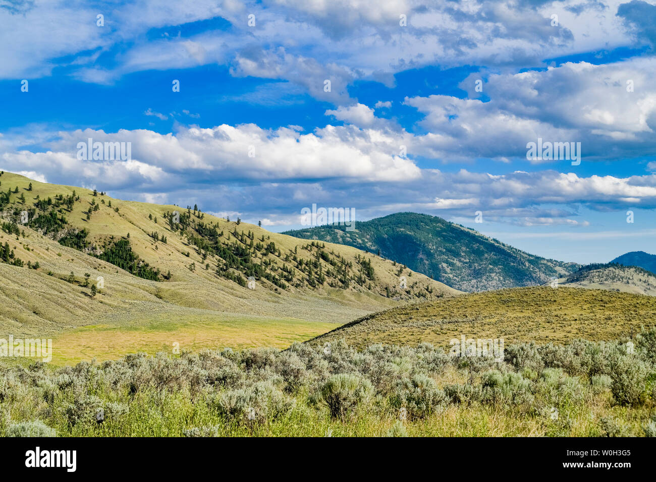 South Okanagan Grasland, British Columbia, Kanada Stockfoto