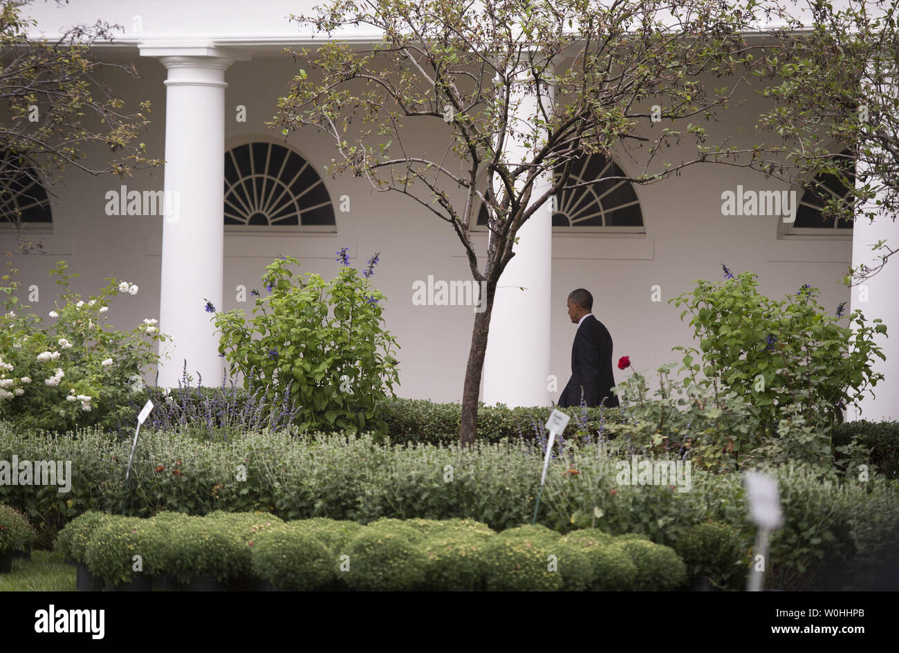 Präsident Barack Obama geht auf das Oval Office, wie er von der Generalversammlung der Vereinten Nationen zurück, im Weißen Haus in Washington, D.C. am 25. September 2014. UPI/Kevin Dietsch. Stockfoto