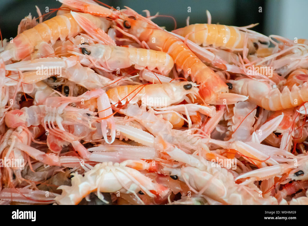 Gruppe von Scampi, Dublin Bay Garnelen oder Kaisergranat auf dem Tisch für den Verkauf in einem Fischmarkt in Bari, Italien Stockfoto
