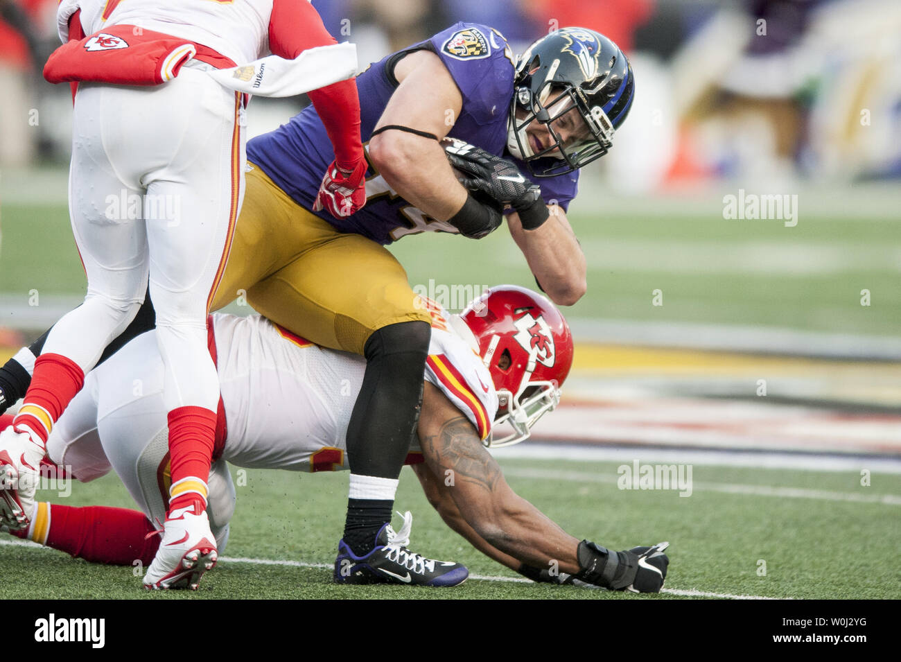 Baltimore Ravens' Verteidiger Kyle Juszczyk ist im vierten Quartal gegen die Kansas City Chiefs' bei M&M Bank Stadium am 20. Dezember in Baltimore, Maryland 2015 angegangen. Kansas City gewann das Spiel 34-14. Foto von Pete Marovich/UPI Stockfoto