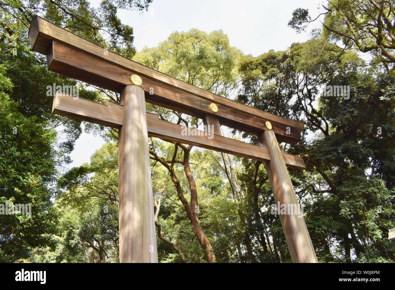 Tor zur Meiji-jingu - die größten und bekanntesten Shintō-Schrein, Tokio, Japan Stockfoto