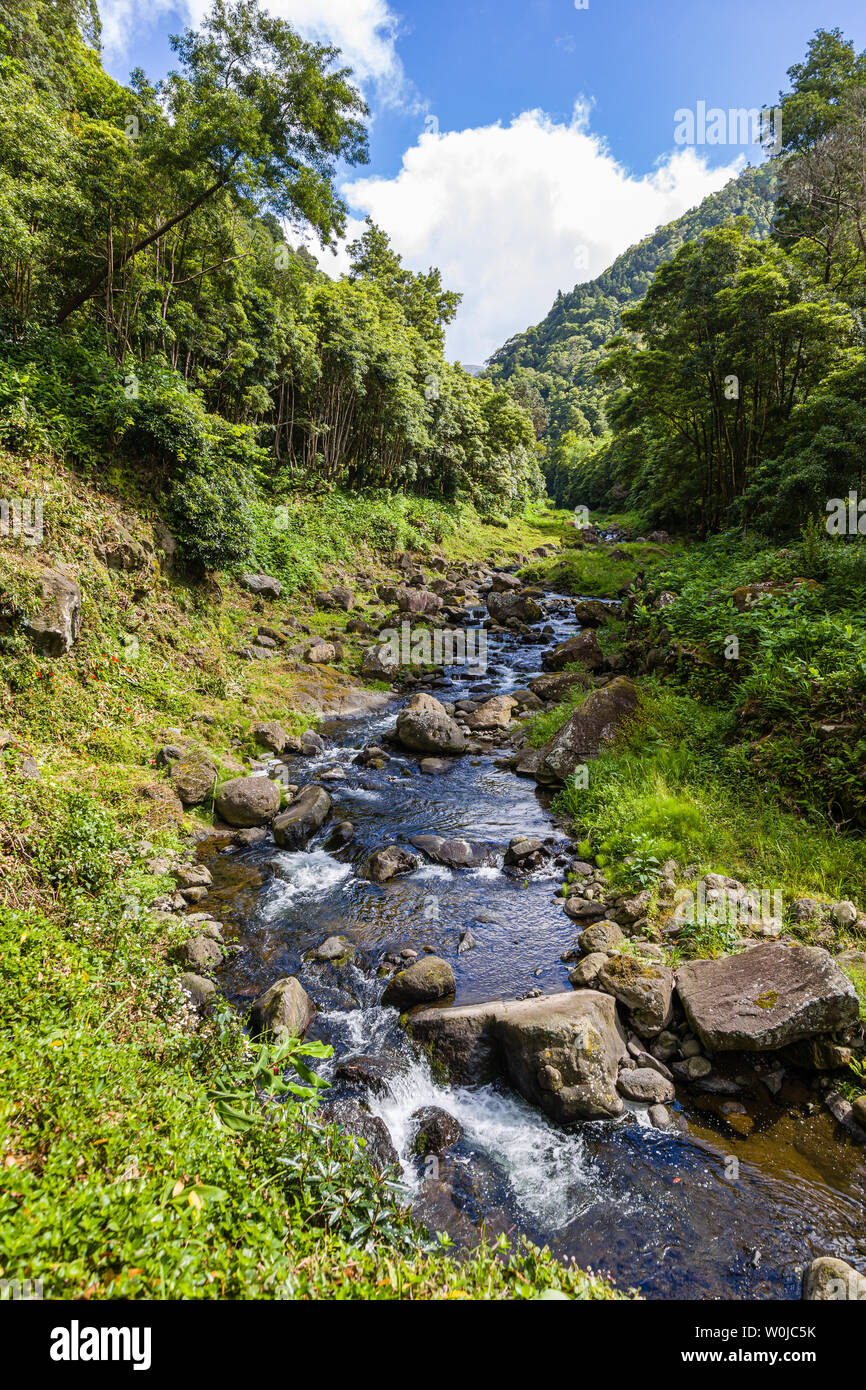 Natur Salto tun Prego trailhead auf Faial Da Terra, Sao Miguel, Azoren Archipel, Portugal Stockfoto