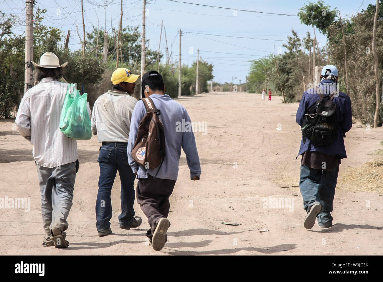 Jornaleros Veracruzanos y Oaxaqueños con salarios de 100 a 150 Pesos diarios finalizan un dia Mas de Trabajo en El Campo San Carlisto llamado ¨ ¨ s en el que por Estas fechas se levanta La cosecha de calabazas a la que también llaman ¨ ¨ Cabocha. . Niños como Mari Cruz Lopez, José Angel, Marisol, Engel, Daniel, Jenifer y Otros que ni siquiera saben Como se llaman Viven al Dia en Las calles De Su mayoria polvorientas descalsos algunos Sünde educación alguna, otros con enfermedades de la Piel. Stockfoto