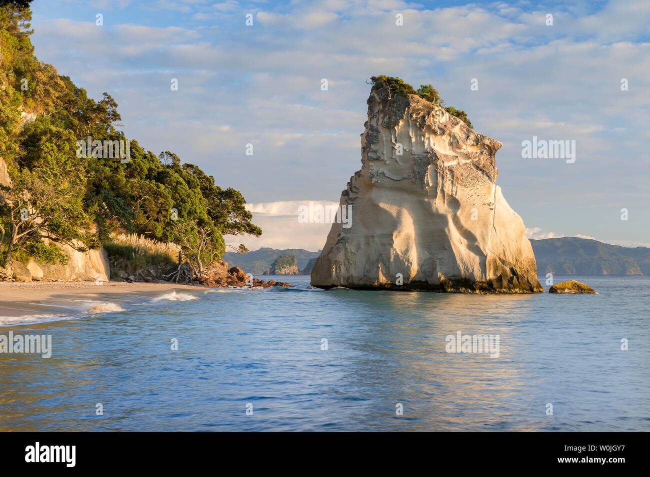 Felsen im Meer an der Cathedral Cove, Mercury Bay, Coromandel Halbinsel, North Island, Neuseeland Stockfoto