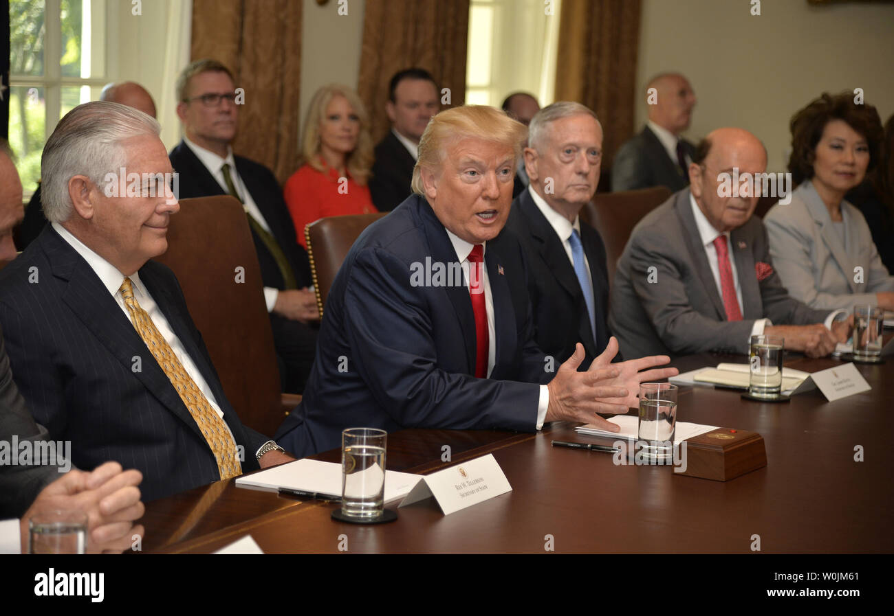 Präsident Donald Trump (C) Erläuterungen während einer Sitzung seines Kabinetts, einschließlich (L-R) Staatssekretär Rex Tillerson, Verteidigungsminister James Mattis, Commerce Secretary Wilbur Ross und Transport Sekretärin Elaine Chao, im Weißen Haus, 31. Juli 2017, in Washington, DC. Früher John F. Kelly, ein pensionierter Marine Corps General und ehemalige Sekretärin der Abteilung für Innere Sicherheit, wurde als der neue Stabschef im Weißen Haus vereidigt. Foto von Mike Theiler/UPI Stockfoto