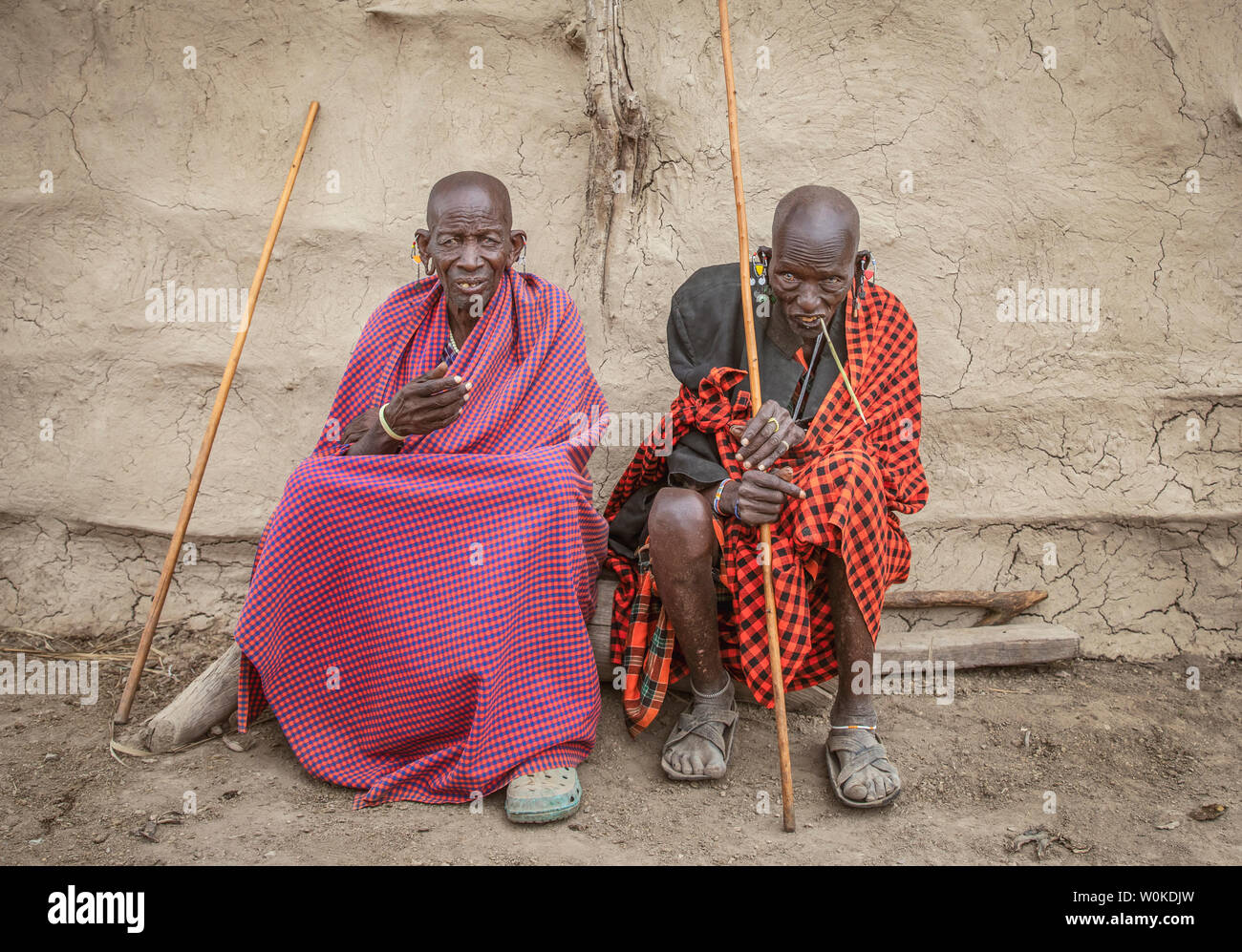 Gleichen, Tansania, 4. Juni, 2019: Alte masai Mann ruht und seine Zähne reinigen mit einem Zweig der Baumstruktur Stockfoto