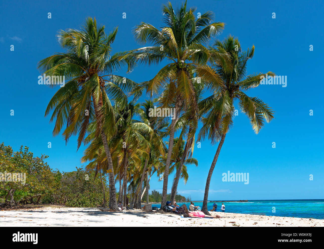 Playa Coco Teil von Playa Giron einen wunderschönen weißen Sandstrand mit türkisfarbenem Meer und Palmen in der Provinz Pinar del Rio, Kuba, Karibik Stockfoto