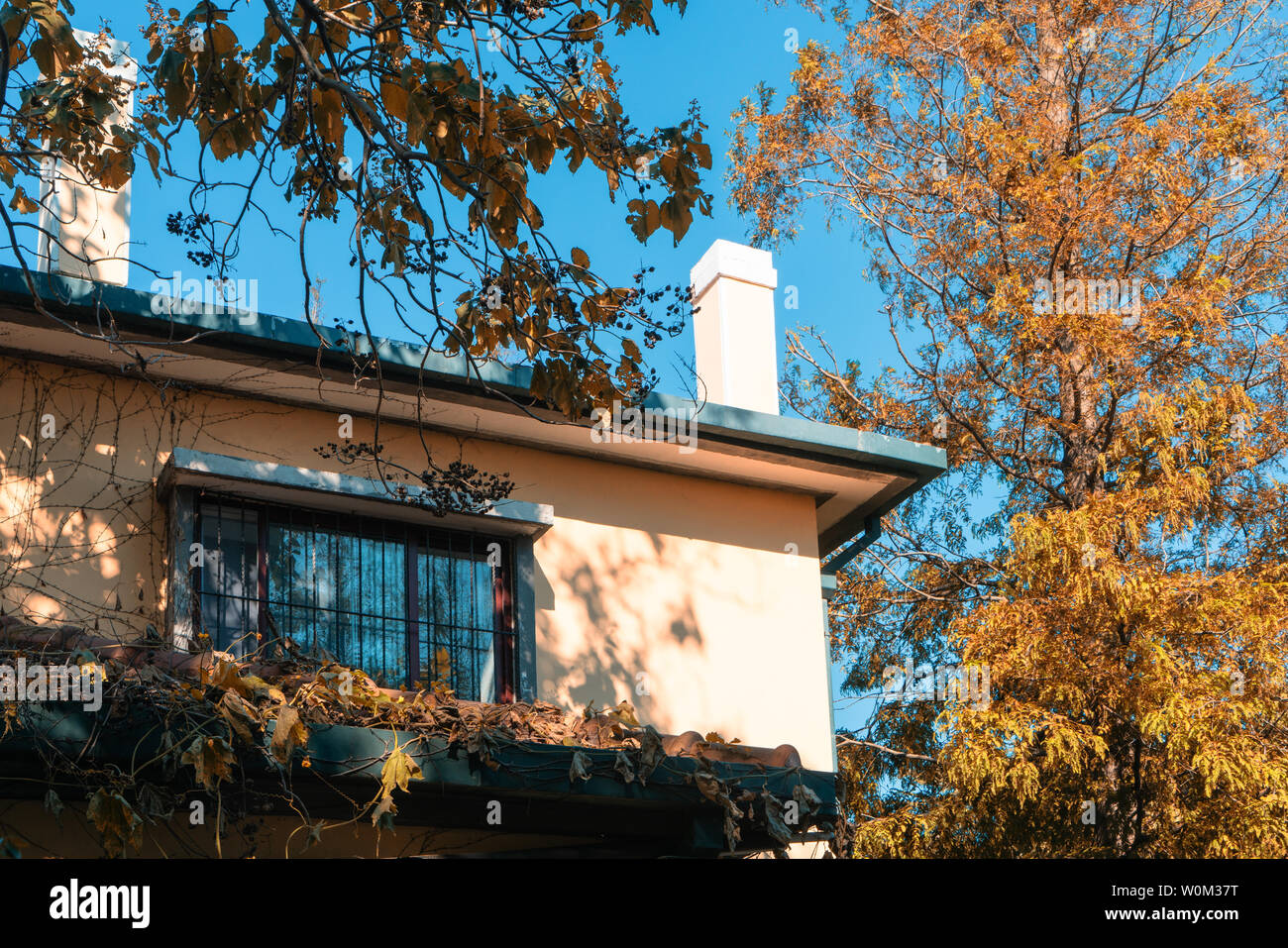 Herbstlandschaft der Ba Daiguan, Qingdao, Provinz Shandong Stockfoto
