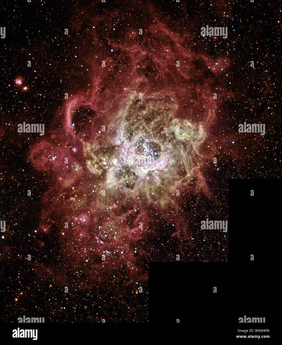 Diesem festlich bunten Nebel, NGC 604, ist eine der größten bekannten brodelnden Kessel von Star Geburt in einem nahen Galaxie gesehen. NGC 604 ist ähnlich wie bei bekannten Star - Geburt Regionen in unserer Milchstraße, wie dem Orionnebel, aber es ist stark im Umfang größer und enthält viele weitere vor kurzem gebildeten Sterne. Dieses monströse Star - Geburt Region enthält mehr als 200 leuchtend blaue Sterne innerhalb einer Wolke aus glühenden Gasen rund 1.300 Lichtjahre über, fast 100 Mal so groß wie der Orionnebel. Image Veröffentlicht Dezember 2003. (UPI Foto/NASA/Hubble) Stockfoto
