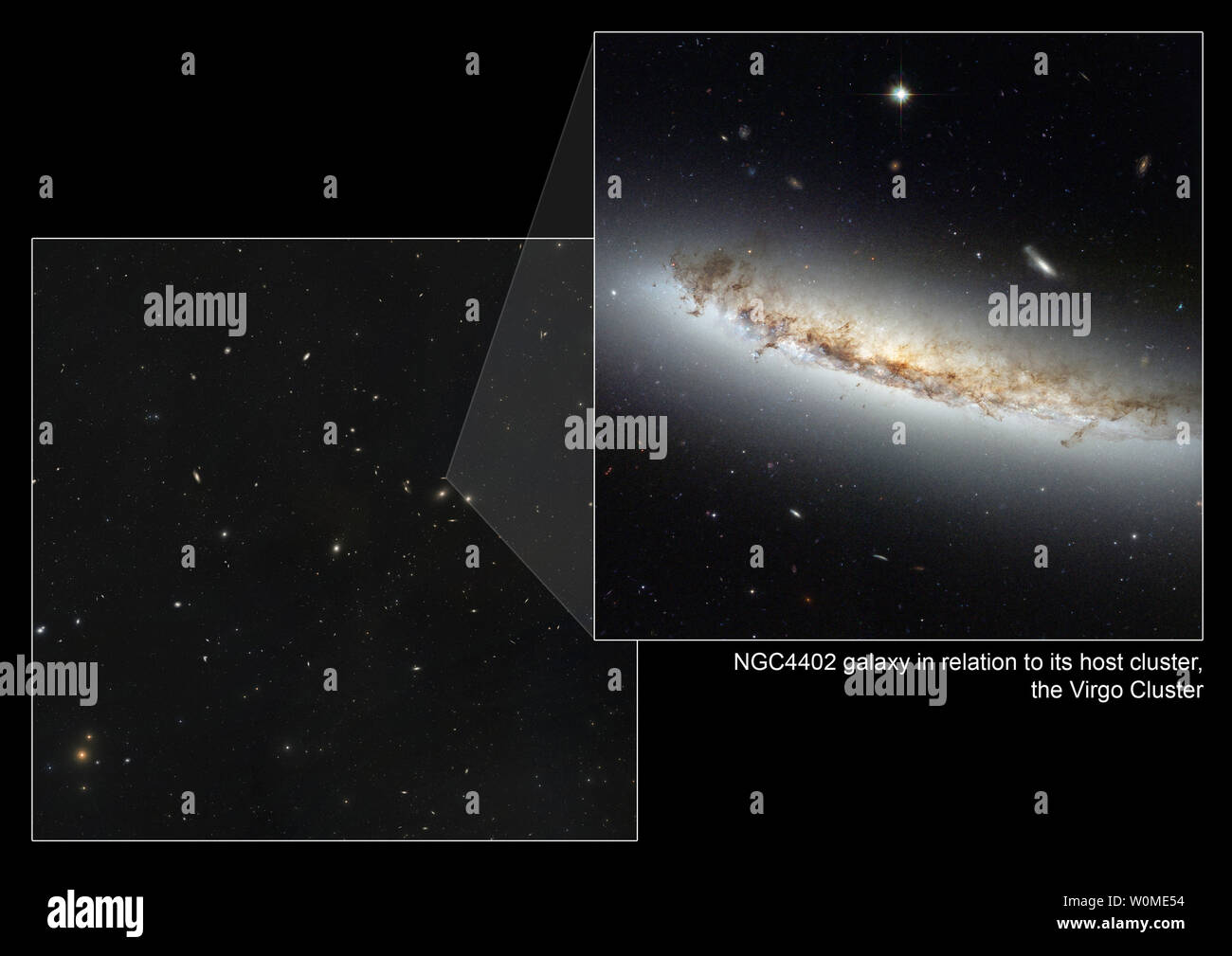 Eine neu veröffentlichte Bilder, die von der NASA/ESA Hubble Space Telescope, die vor der letzten Wartungsmission, die laufende Drama in zwei Galaxien in der Virgo Cluster durch einen Prozess, der als "ram Druck stripping", die eigentümlich aussehende Galaxien führen kann bekannte betroffen. Wie Galaxien durch das Intra-cluster Medium, starke Winde rip durch Galaxien ihre Form verzerren und sogar stoppen, die Entstehung von Sternen. Dieses Bild zeigt NGC 4402 im Kontext der Virgo Cluster. UPI/NASA-ESA Stockfoto