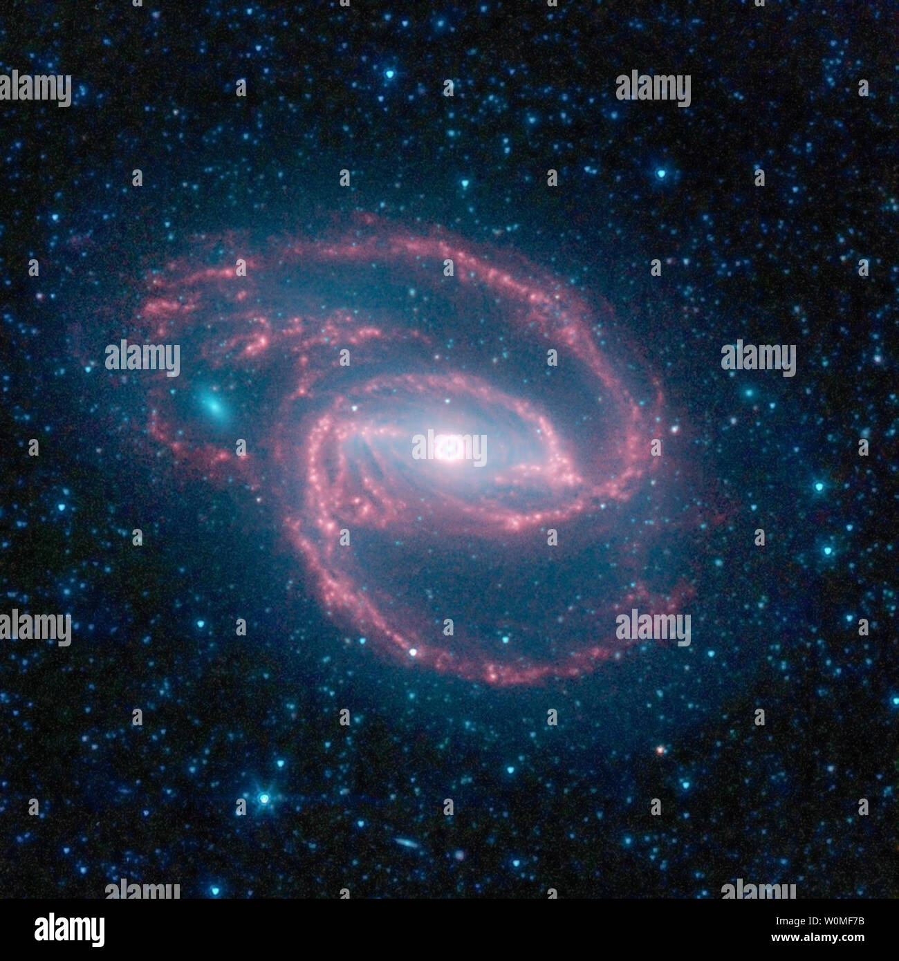 Dieses undatierte NASA Infrarotbild vom Weltraumteleskop Spitzer zeigt Galaxie NGC 1097 aufgenommen und ist 50 Millionen Lichtjahre entfernt. Die spiralförmige hat einen massiven Schwarzen Loch in der Mitte von einem Ring aus Sternen umgeben. Das schwarze Loch ist riesig, ungefähr 100 Millionen mal der Masse unserer Sonne und ist Fütterung aus Gas und Staub, zusammen mit der gelegentlichen Stern. UPI/NASA Stockfoto