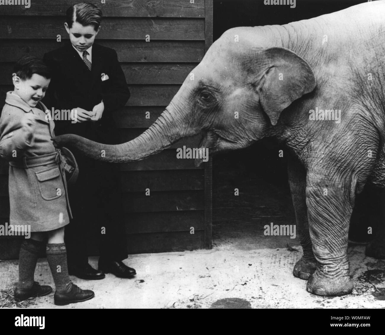 Senator Edward "Ted" Kennedy, D-MA, starb in seinem Haus in Cape Cod, Massachusetts, nach einem Jahr - lange Schlacht gegen Gehirn Krebs am 25. August 2009. Söhne Joseph S. Kennedy, US-Botschafter in England, Teddie (Edward M. oder Ted, im Vordergrund) und Bobbie (Robert F. Kennedy) "cement Beziehungen" mit einem Baby Elefant im Zoo für Kinder der London Zoo. Die jungen offiziell eröffnet der Zoo für die Saison am 6. Juni 1938. UPI/Dateien Stockfoto