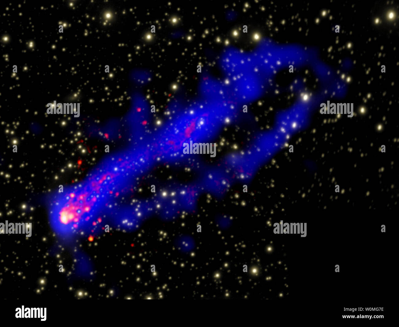 Ein undatiertes NASA zusammengesetzten Bild des Galaxienhaufens Abell 3627 zeigt X-Strahlen von Chandra X-ray Observatory in Blau, optische Emission in Gelb und Emission von Wasserstoff Licht in Rot, von zwei Schwänzen von X-ray emission hinter einer Galaxie. An der Vorderseite der Schwanz ist die Galaxie ESO 137-001. Der hellere der beiden Schwänze zuvor gesehen hatte, und erstreckt sich über etwa 260.000 Lichtjahre. Die Erkennung des zweiten, schwächere Schwanz war eine Überraschung für die Wissenschaftler. UPI/NASA Stockfoto