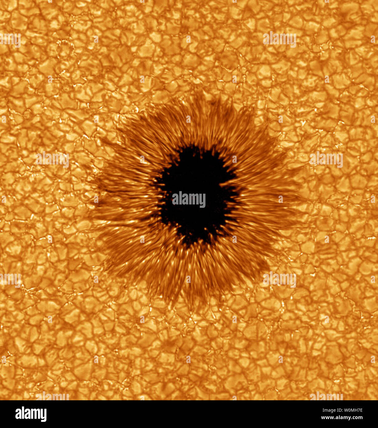 Das neue Sonnenteleskop auf der Big Bear Solar Observatory fängt die möglichst detaillierte Bilder eines Sonnenflecks in ein Foto veröffentlicht am 1. September 2010. Das Bild wurde am 2. Juli 2010 getroffen, unter der Leitung von New Jersey Institut für Technologie (Njit) Professor Philip R. Goode an Bbso in Big Bear, Kalifornien. Für die Perspektive, die Erde ist etwas kleiner als die gesamte Sonnenfleck einschließlich der dunkle Umbra und das Gänseblümchen Blütenblatt - wie Penumbra. UPI/Big Bear Solar Observatory Stockfoto