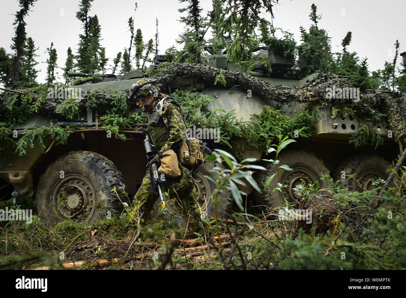 Kanadische Armee Maj. Chelsea Anne Braybrook, Kommandeur der Bravo Company, 1.BATAILLON, Princess Patricia's Canadian Light Infantry, Spaziergänge hinter Ihrem Coyote gepanzerten Fahrzeug in Donnelly Training Area in der Nähe von Ft. Greely, Alaska, während des Arktischen Amboss übung, Sonntag, 24. Juli 2016. Foto von Justin Connaher/U.S. Luftwaffe/UPI Stockfoto