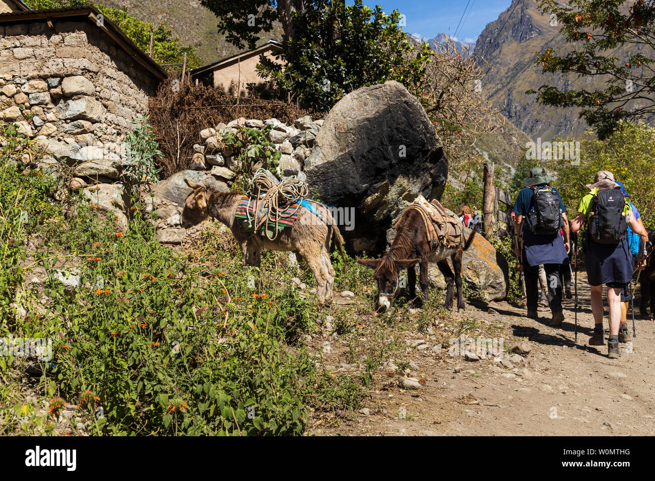 Trekking auf dem Inka-trail, Tag 1, Km 82 bis Huayllabamba, Peru, Südamerika Stockfoto