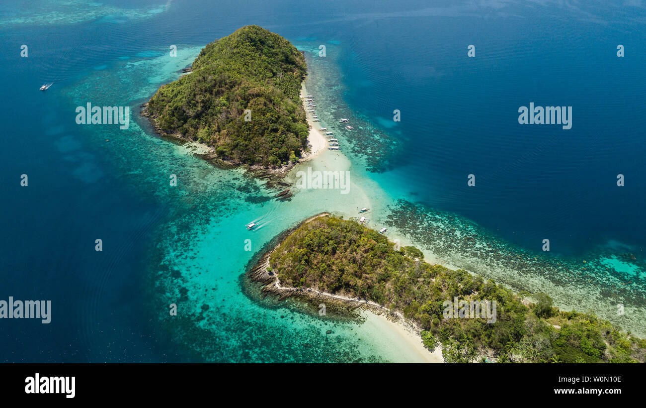 Paradies Inseln mit weißem Sand, Palmen und kristallklarem Wasser in Palawan, Philippinen Stockfoto