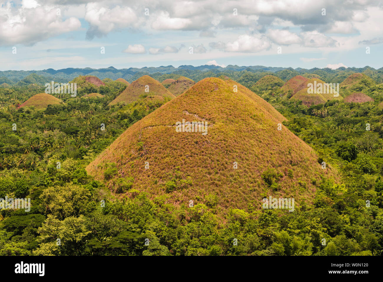 Chocolate Hills auf Bohol, Philippinen. Chocolate Hills auf Bohol, Philippinen. Wunderschöne Landschaft von Hunderten von braunen Hügeln Stockfoto