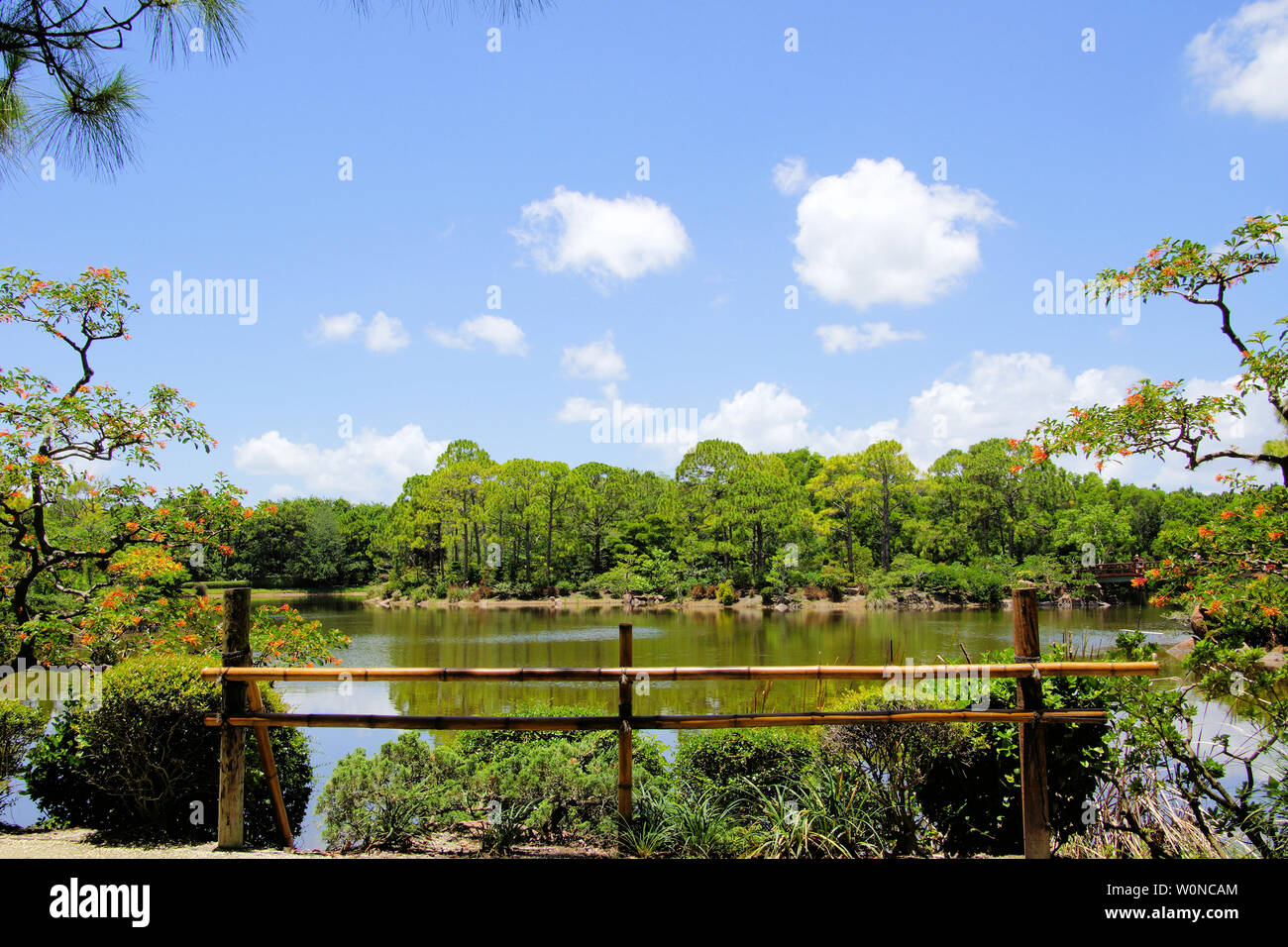 Delray Beach, Florida, Morikami japanisch Botanischer Garten, schöne Brücke, Wasserfall und Gehweg entlang des Sees inmitten einer üppigen Laub Hintergrund Stockfoto