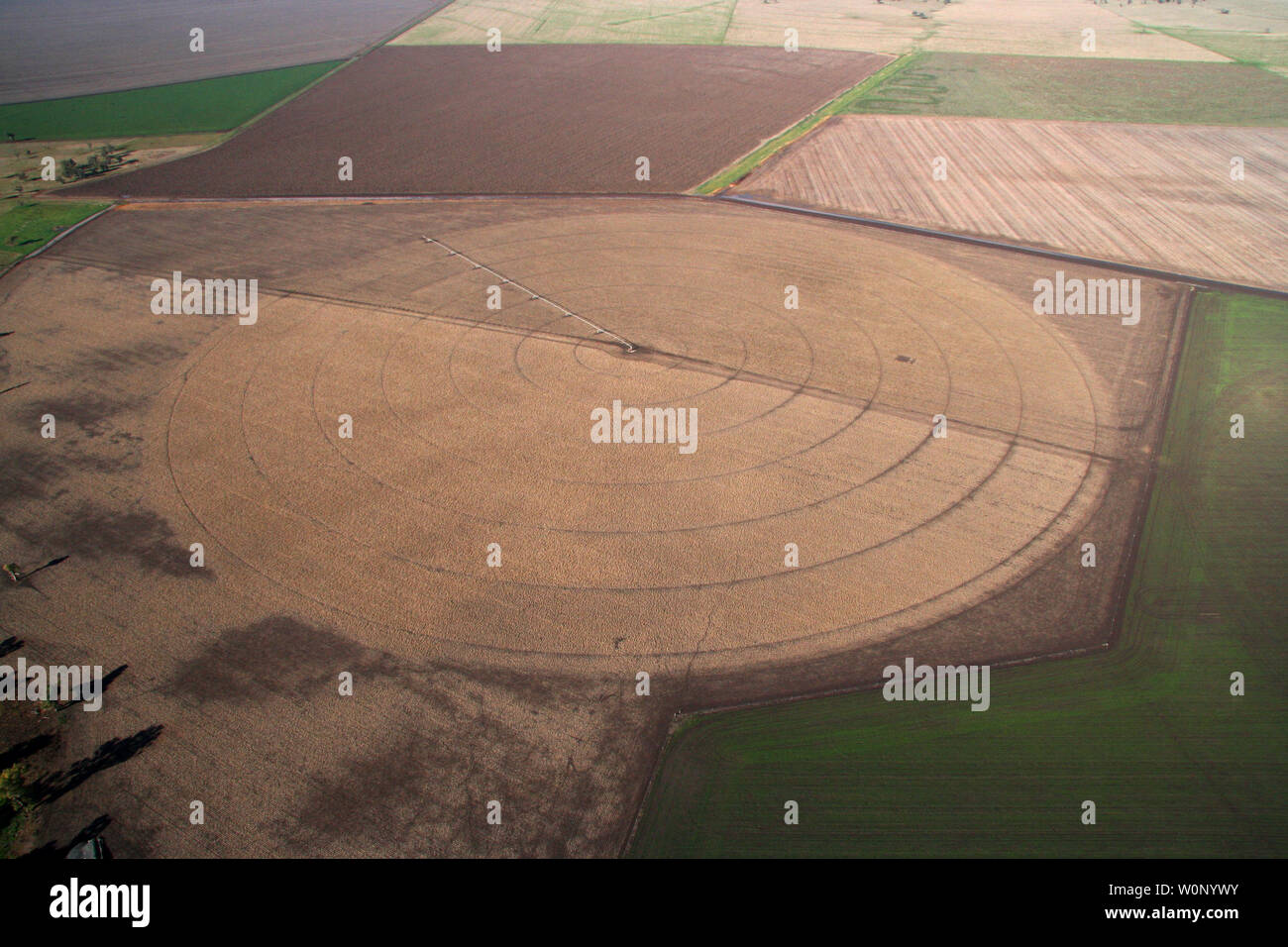 Bauernhof auf der Liverpool plains Northern nsw Stockfoto