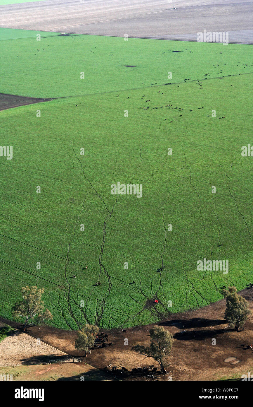 Liverpool plains Northern nsw Australien Stockfoto
