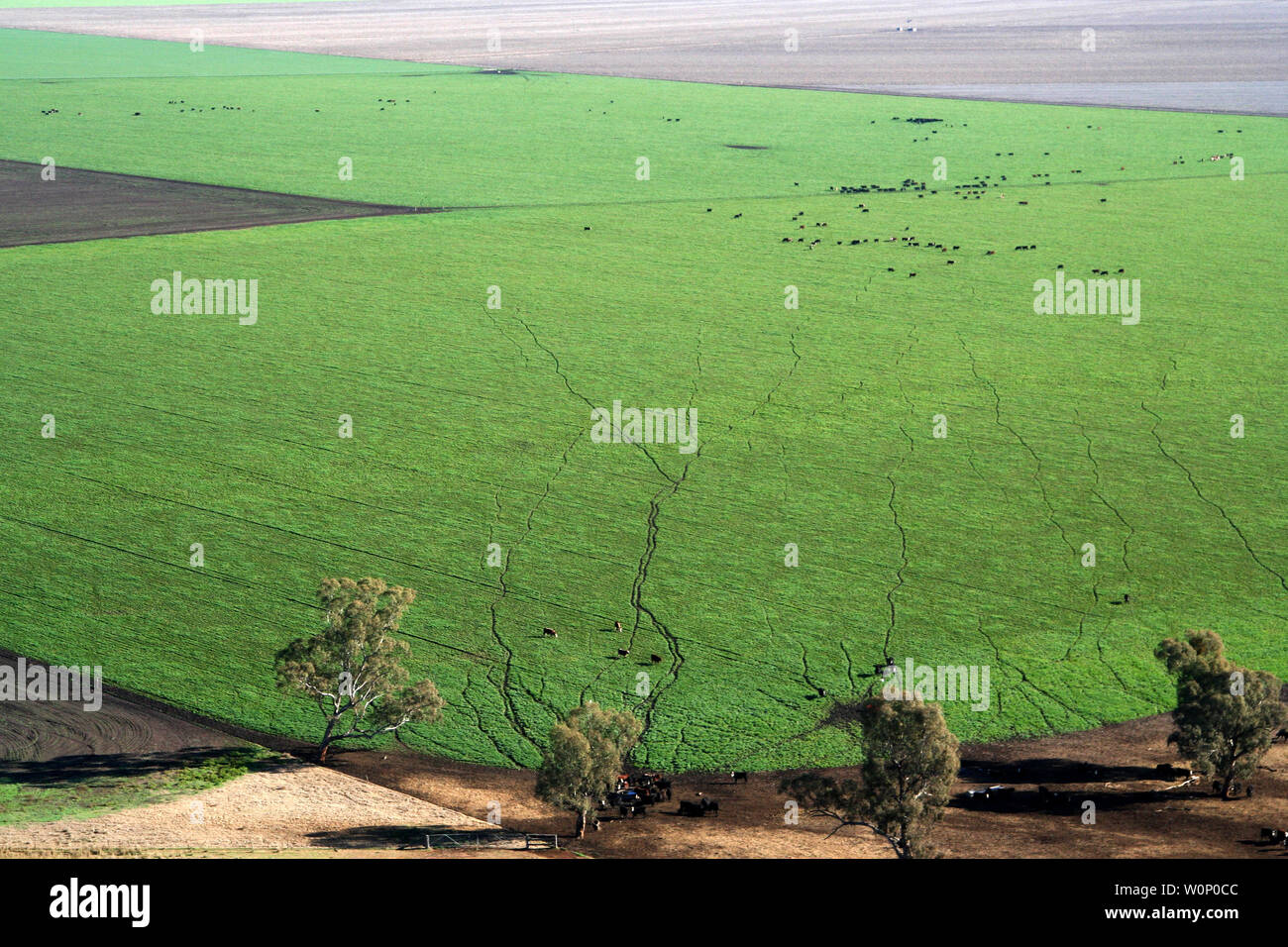 Liverpool plains Northern nsw Australien Stockfoto