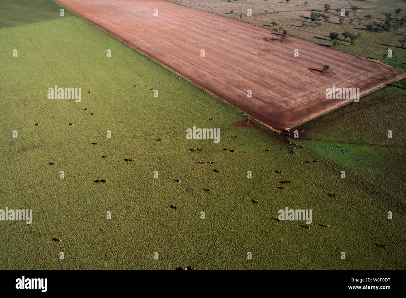 Liverpool plains Northern nsw Australien Stockfoto