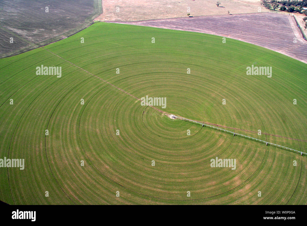 Liverpool plains Northern nsw Australien Stockfoto