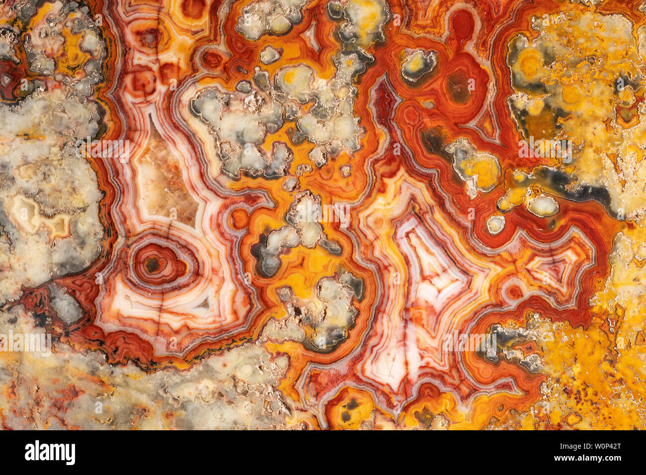 Australische Crazy Lace Achat. Herkunft: Marillana, Australien. Mit freundlicher Genehmigung von ZRS Fossilien, von Dominique Braud/Dembinsky Foto Assoc Stockfoto