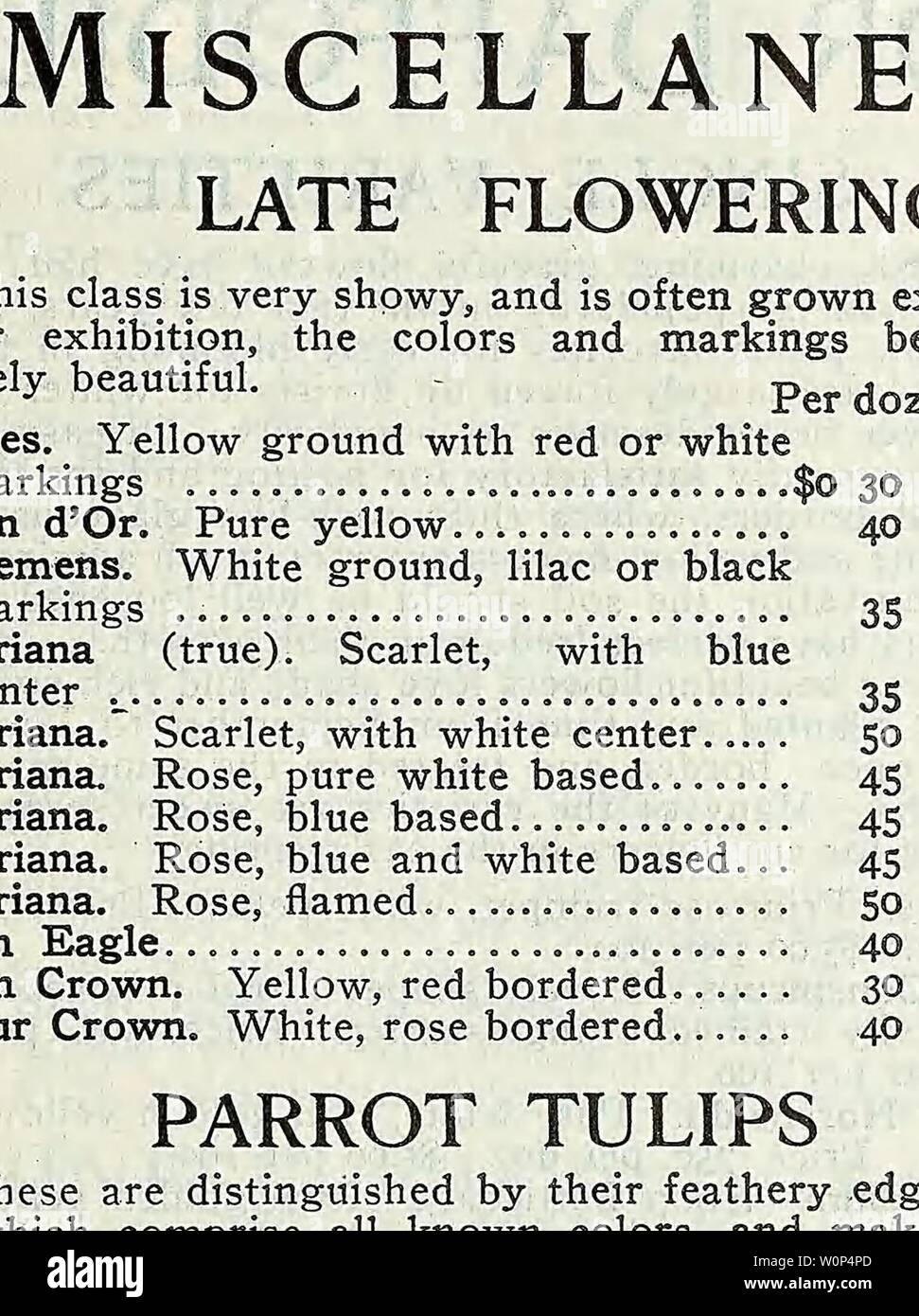 Archiv Bild von Seite 8 der beschreibenden Katalog von Gemüse, Blumen,. Beschreibender Katalog der Gemüse, Blumen und Samen Descriptivecata 00 WeebE Jahr: 18 uu WEBBER & DON, 114 Chambers Street, NEW YORK, einzelne NARZISSEN NARZISSEN BICOIiOE KAISERIN ODER EINZELNE SORTEN HRHESE charmant -, anmutigen Blüten eine große ich Revival o.f Popularität in der Jast Paar gehabt haben. Jahre und sind 1 Nun prime Favoriten für frühe Blühen in der gar-den und sind weitgehend durch Floristen für den winter blumen gezwungen. Keine Blume besser verdient seine Popularität. Der einfache Kultur, sie sind gleichermaßen zufriedenstellend für pottin Stockfoto