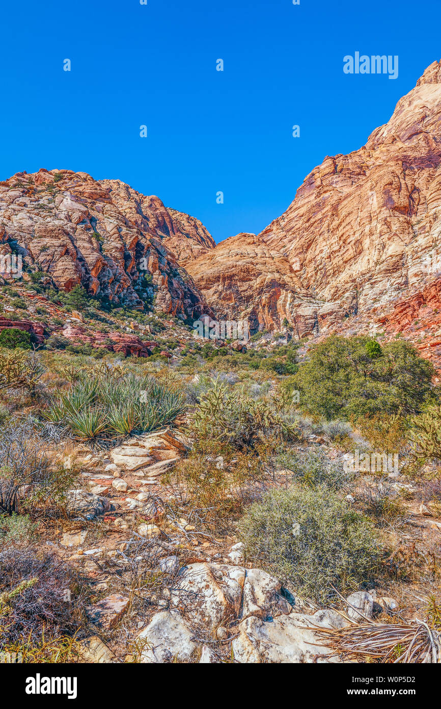 Sandstein Canyon Loop Trail in Spring Mountain Ranch State Park. Nevada. USA Stockfoto