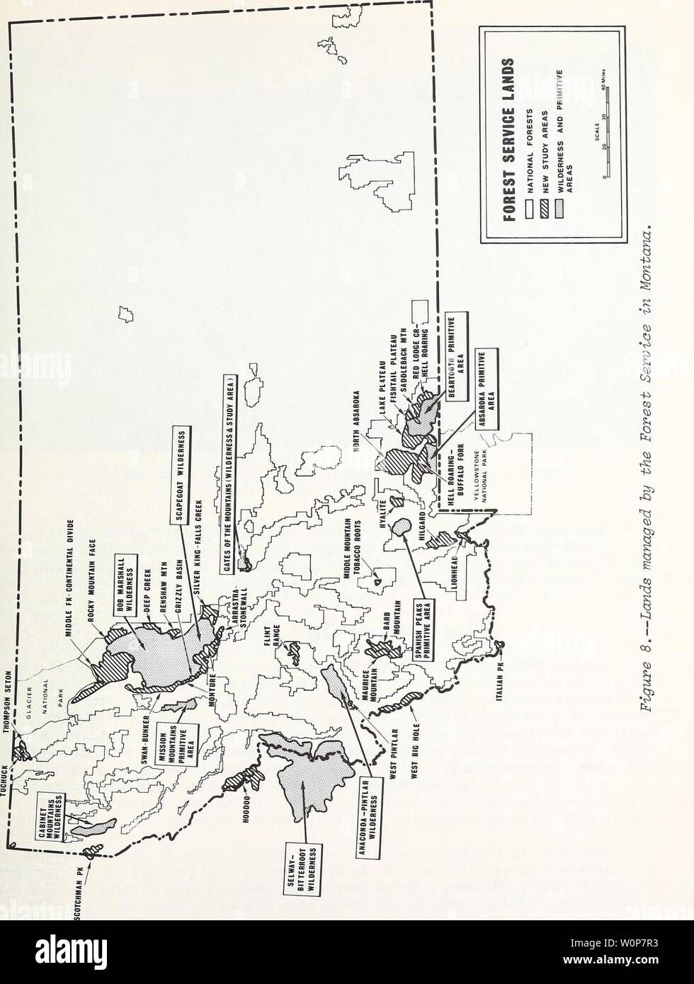 Archiv Bild von Seite 22 Eine deskriptive Analyse von Montana. Eine deskriptive Analyse der Montana Waldressourcen descriptiveanaly 11 schw Jahr: 1975 11. Stockfoto