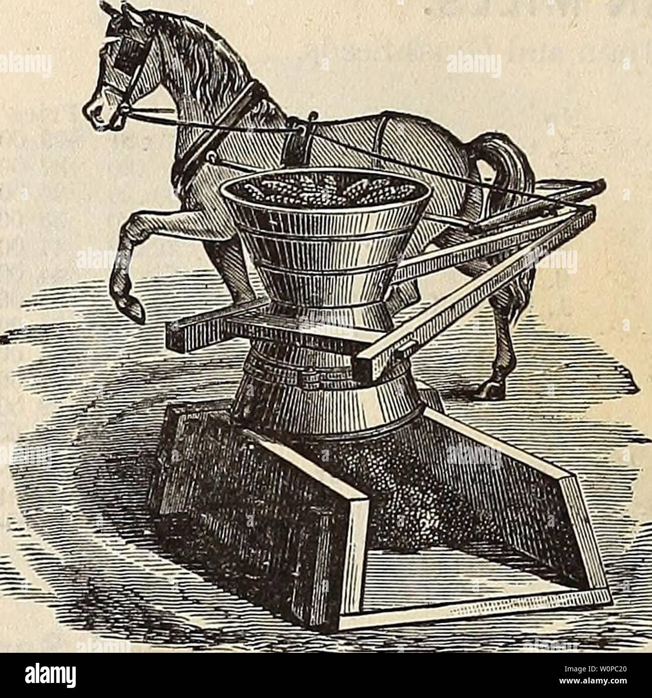 Archiv Bild von Seite 39 der beschreibenden Katalog der Samen. Beschreibender Katalog der Samen: Garten, Feld, Blume, Düngemittel, &c., landwirtschaftliche und gartenbauliche implementiert reev descriptivecatal 1889 Jahr: 1889 38 KOBERT C. Reeves' KATALOG GROSSE RIESE MAIS- UND COB-Brecher. Schleift alle Arten von Korn. Preise und Kapazitäten für Kurs Schleifen. Nr. 2, One-Horse Sweep-Mill, Kapazität, 7 bis 12 Bushel pro Stunde 35 $ 00 Nr. 3 zu fegen, Mühle, Licht Two-Horse, Ca - schulstrukturen, 10 bis 15 Bushel pro Stunde.. 45 00 Nr. 4 zu fegen, Mühle, regelmäßige Two-Horse. Ca-schulstrukturen, 16 bis 20 Bushel pro Stunde. 60 00 P Stockfoto