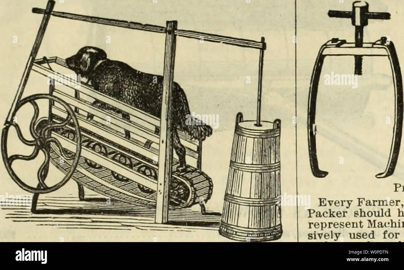 Archiv Bild von Seite 48 der beschreibenden Katalog der Samen. Beschreibender Katalog der Samen: Garten, Feld, Blume, Düngemittel, &c., landwirtschaftliche und gartenbauliche implementiert descriptivecatal 1889 reev Jahr: 1889 FÜR DIE FARM UND GARTEN. 47 Hund, Kalb und Pony Befugnisse für Churn-ing, das Pumpen von Wasser, etc. BARREL HEADER - ODER - Obst und Kartoffeln Pressen. Preise. Hund macht Kalb oder Pony macht. Kumpel, zusätzliche... $ 15 00 50 .81 75 bis 5 00 Stockfoto