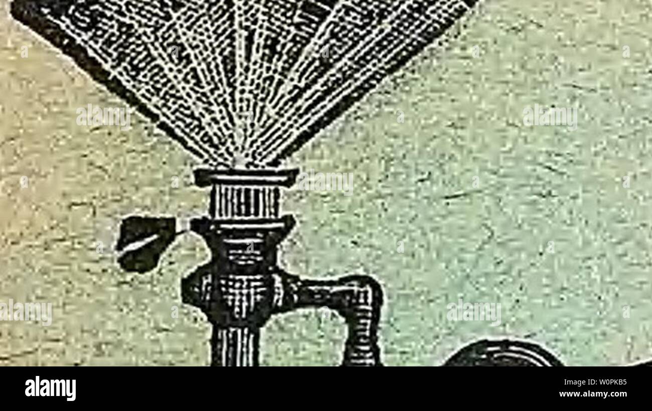 Archiv Bild von Seite 76 der beschreibenden Katalog von Gemüse, Blumen,. Beschreibender Katalog der Gemüse, Blumen und Samen Descriptivecata 00 WeebA Jahr: 18 uu Blumentöpfe, Wannen, etc. 76 WEEBER y DON RUNDE SAATSCHALEN STEINGUT Eeight Breite - Preis pro Doz. 3x6.. $ 1 00 4 x 1 25 5 x 10 2 50 3 00 6 x 12 7 x 14 5 00 8 x 16 -10 00 UNION PLANT Wannen aus Zypresse, lackiert greeii, mit eisernen Reifen und Füße und Griffe, perforiertem Boden, sehr stark. Nr. 1. 13 cm Durchmesser, 11 cm hoch.. Jedes $ 1 00 2. 14 3. 16" 4 20' 5. 24' 6. 28 Außerhalb der Messung.; 15 i 18 20 22. 1, 50 Stockfoto