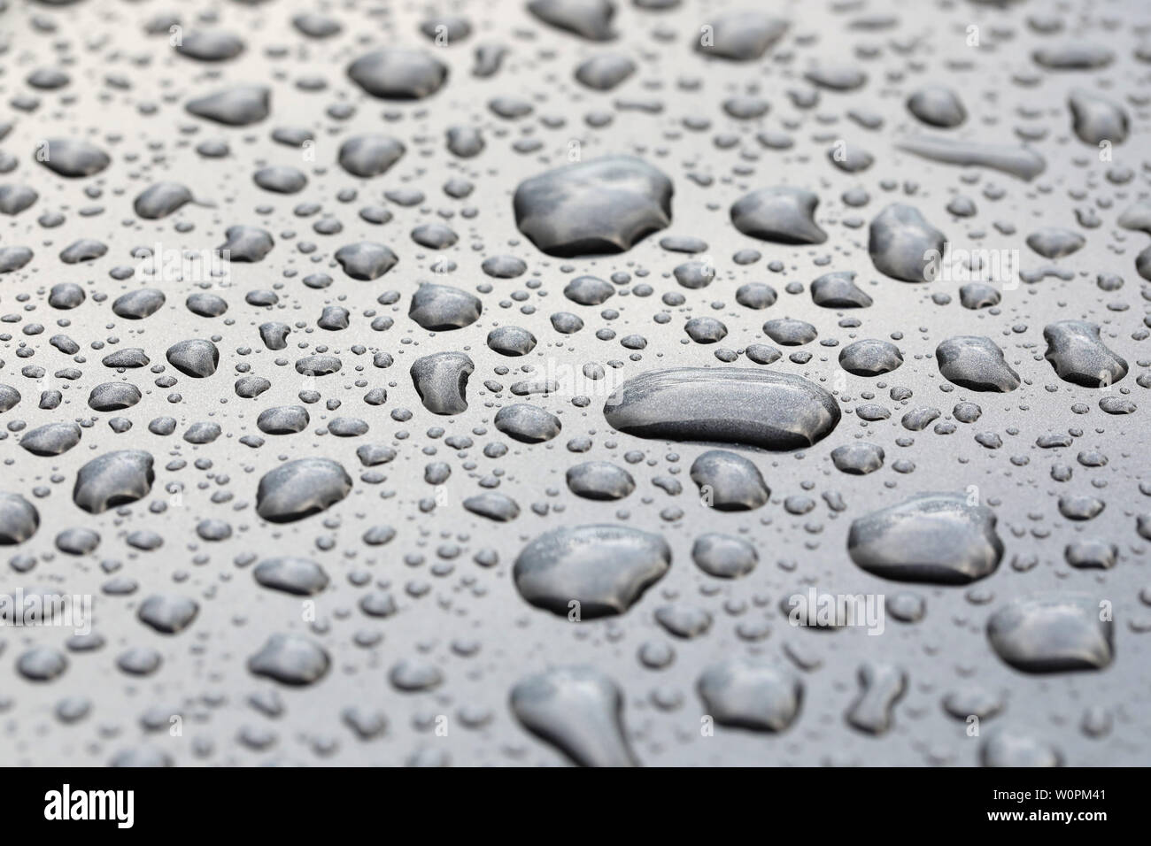 Muster der Regen Wassertropfen perlen auf einer polierten graues Metall oberfläche. Perlen von Regen sitzen auf einem sauberen grauer Hintergrund Stockfoto