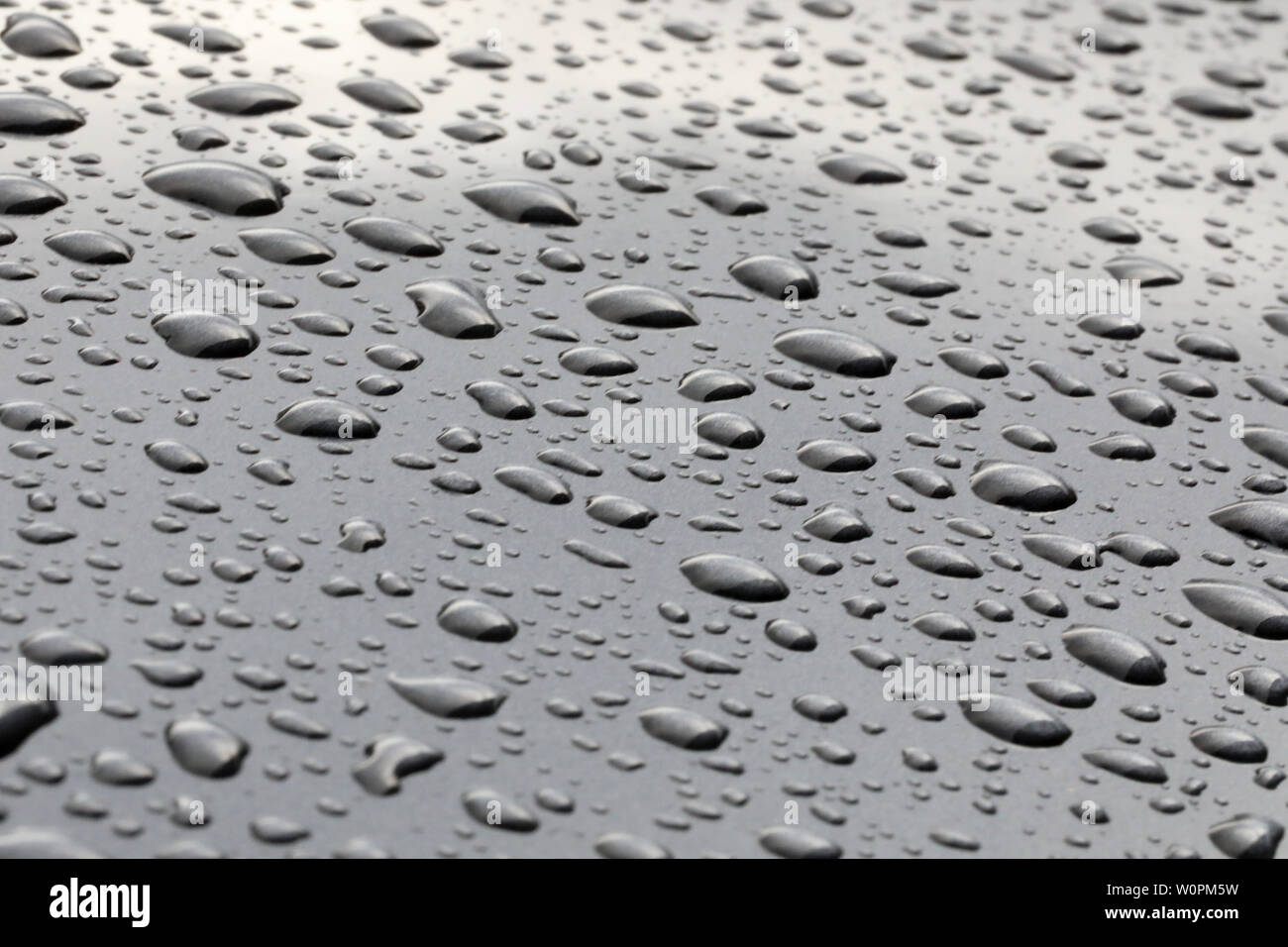 Muster der Regen Wassertropfen perlen auf einer polierten graues Metall oberfläche. Perlen von Regen sitzen auf einem sauberen grauer Hintergrund Stockfoto