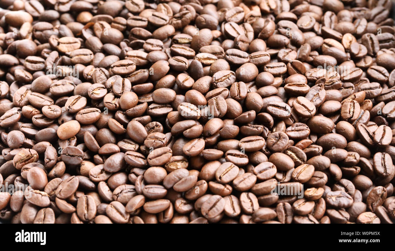 Weite Einstellung auf eine grosse Anzahl von wunderschönen indischen Monsun Malabar frisch gerösteten Kaffeebohnen. Cafe Espresso barista Röster Konzept. Stockfoto