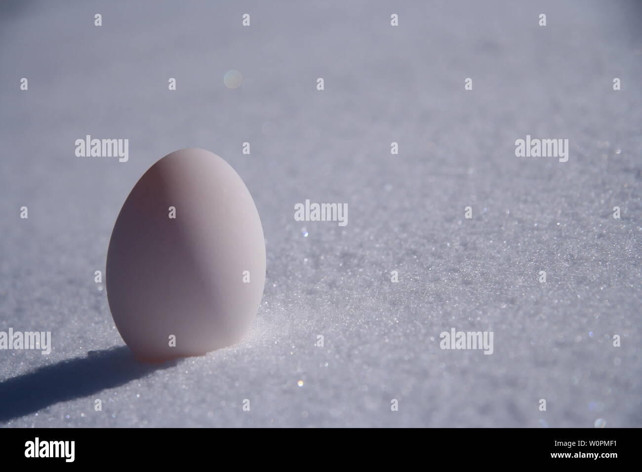 Eine Ente Ei im Schnee Stockfoto