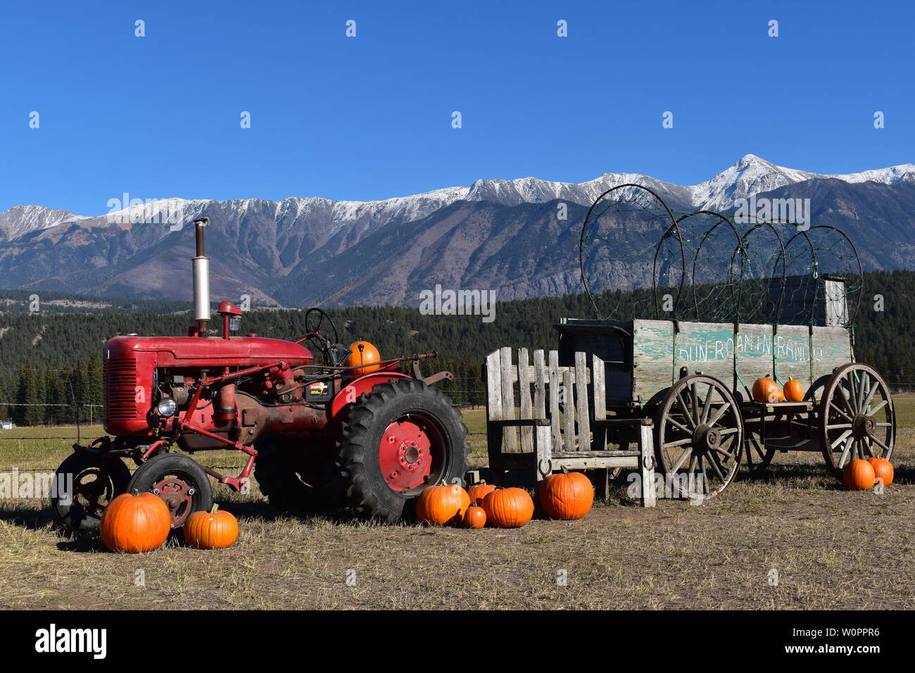 Ein Herbst Anzeige der Kürbisse und landwirtschaftlichen Geräten an Lantz Farm, Wasa, BC, Kanada Stockfoto